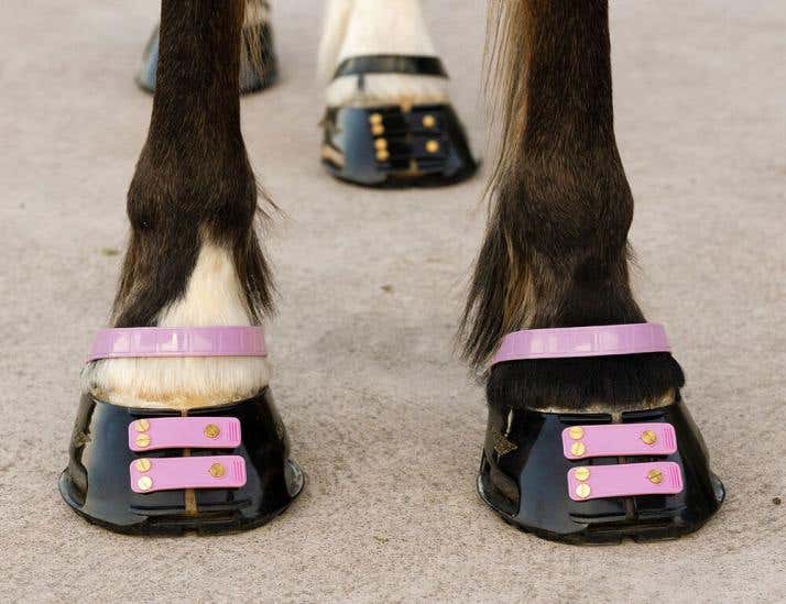 Hoof boots horseland hot sale