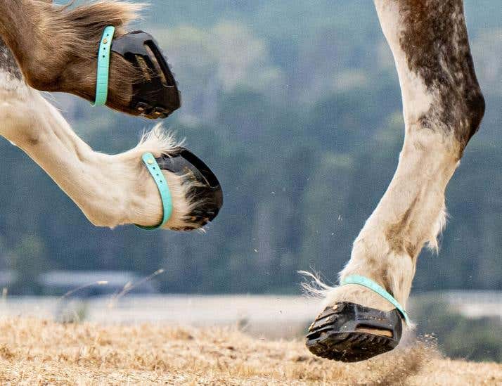 Hoof boots horseland hot sale
