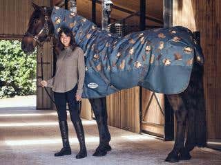 A woman holding a horse wearing a beaver print rug in a stable