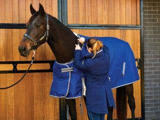 Girl putting rug on horse in front of stables