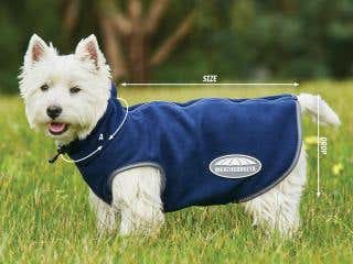Dog Size Guides