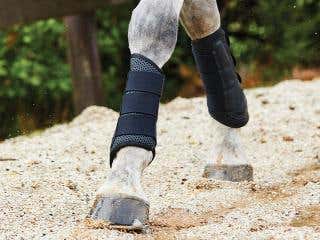 Horse walks on arena wearing black WeatherBeeta Exercise Boots.