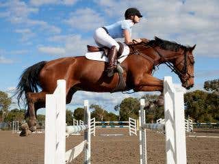 Horse jumping through the air