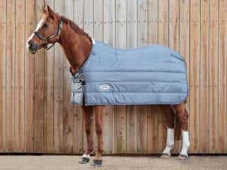 Horse standing in front of wooden doors in WeatherBeeta Thermi Heat Liner