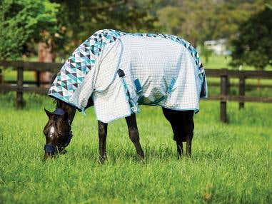 Is my horse suffering heat stress?