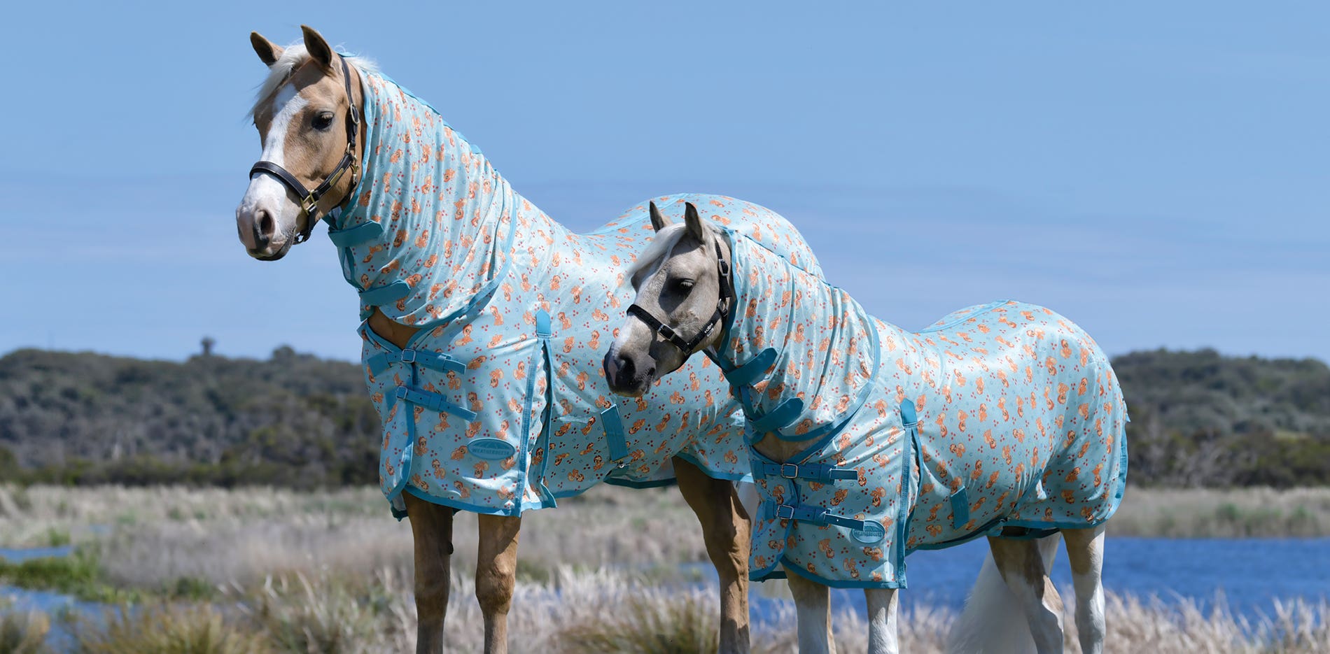 My Little Pony For Ponies