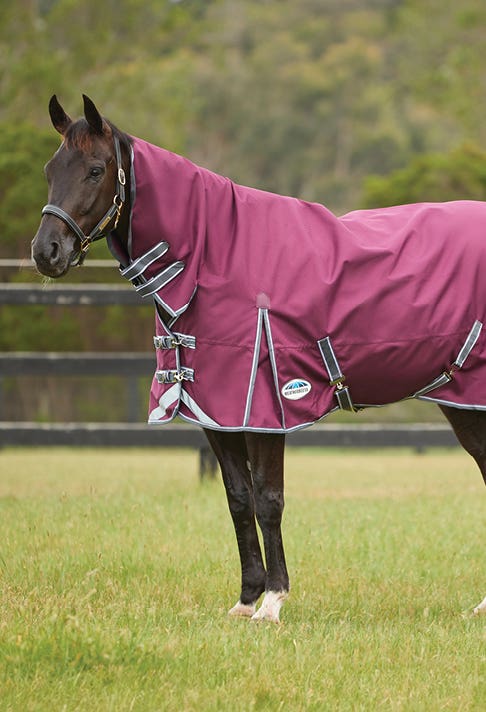 WeatherBeeta ComFiTec Plus Dynamic II Combo Neck Medium