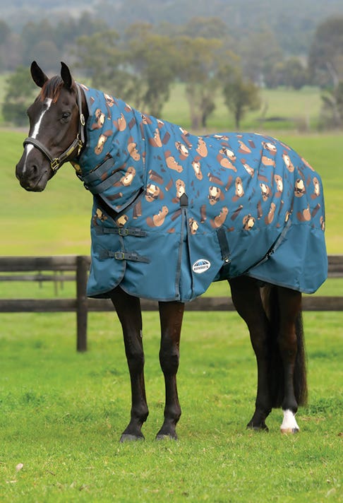 WeatherBeeta ComFiTec Essential Plus Combo Neck Medium