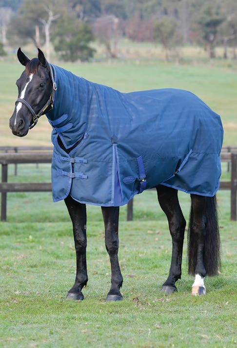 WeatherBeeta ComFiTec Prelim Combo Neck Medium