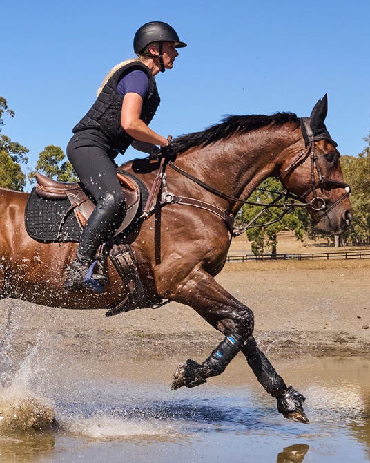HORSE BOOTS