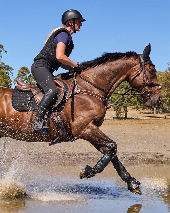 HORSE BOOTS