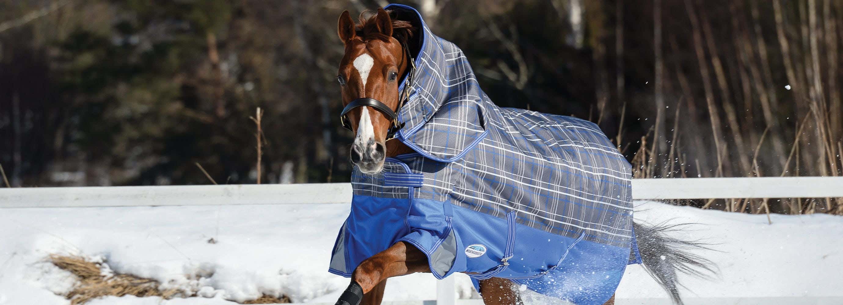 Horseland