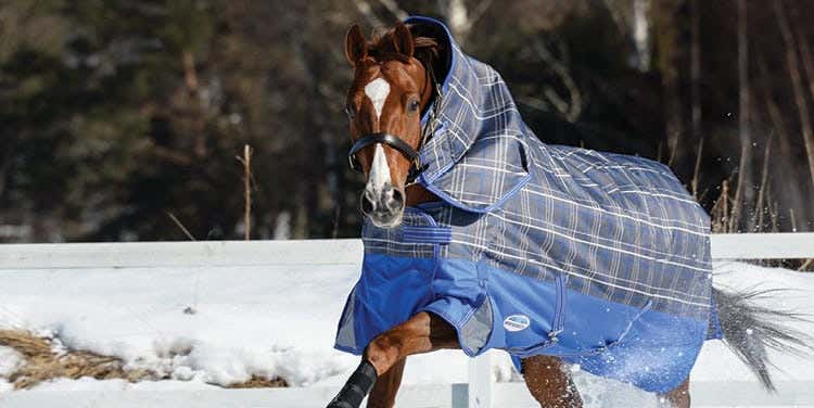 Horseland