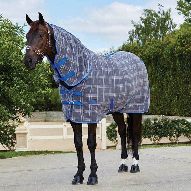 Horseland