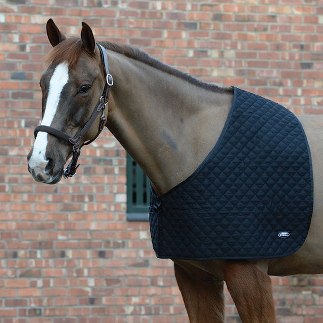 Horseland