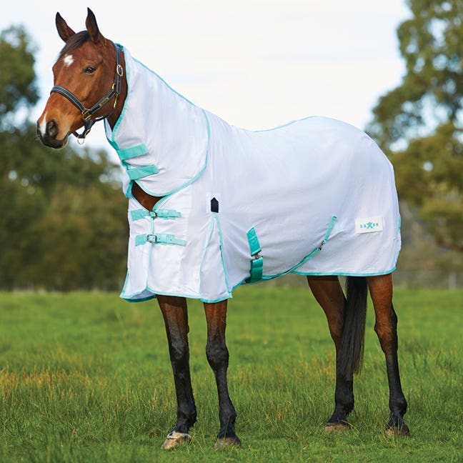 Horseland