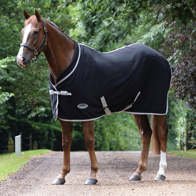 Horseland