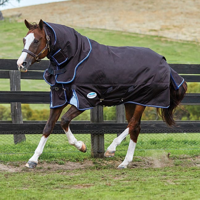 Horseland