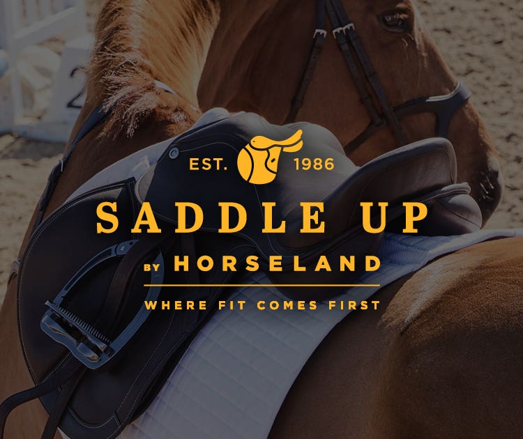 Saddle Up by Horseland