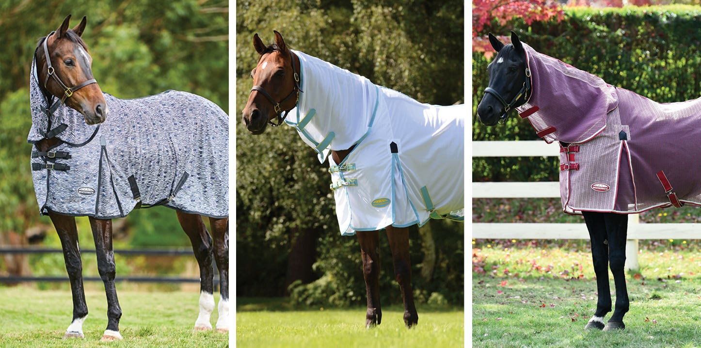 Horse Gear & Horse Equipment for Sale Horseland