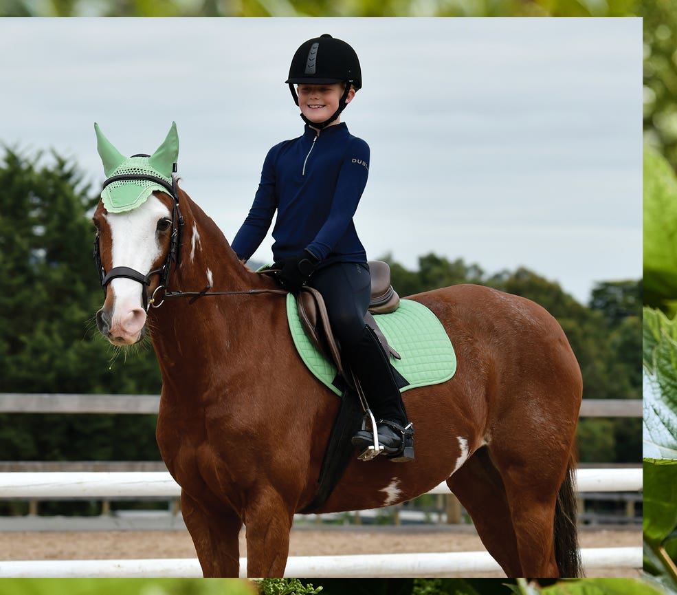 Horse Riding Equipment Accessories Horseland