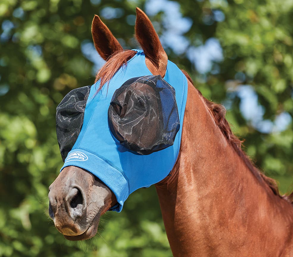 Fly Masks