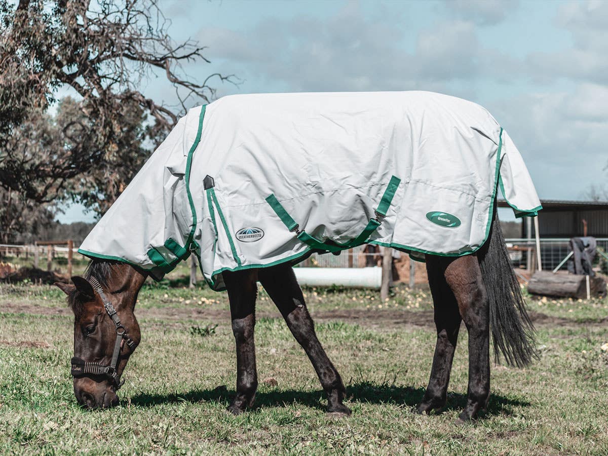 Horseland