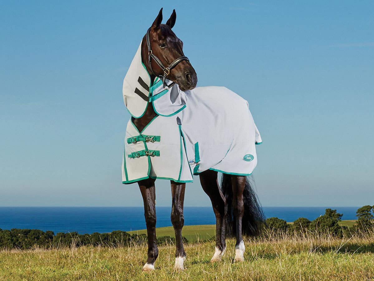 Horseland