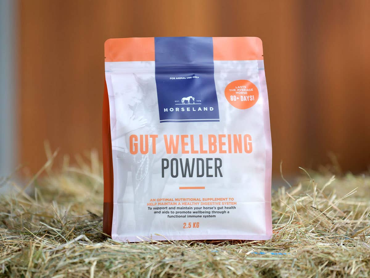 Horseland Gut Health Powder sitting on a bale of hay