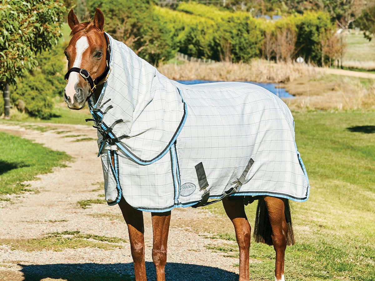 Horseland