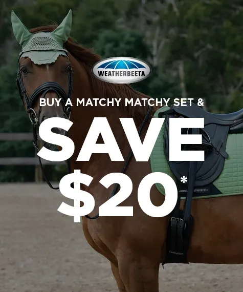 Buy horse accessories outlet