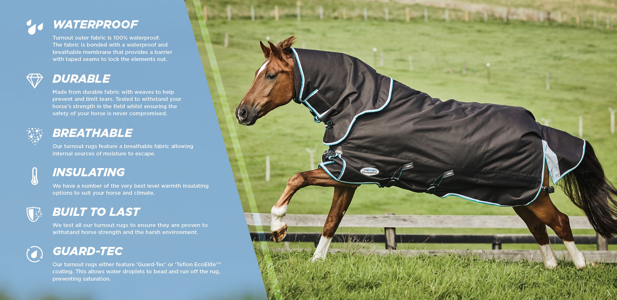 Benefits of WeatherBeeta Horse Rugs