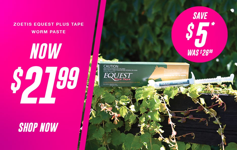 Zoetis Equest Plus Tape Worm Paste