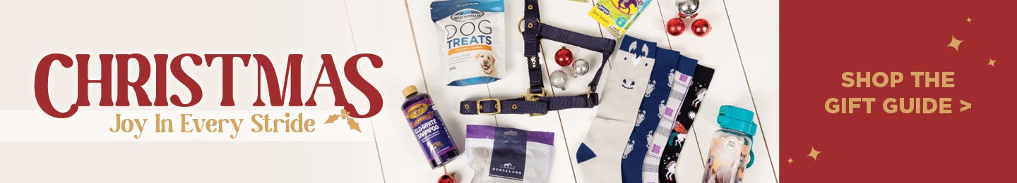 Horseland Christmas Gift Guide