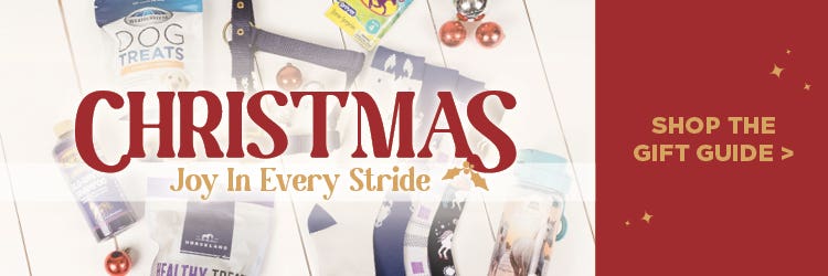 Horseland Christmas Gift Guide