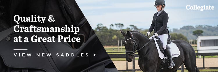 Saddles & Saddlery