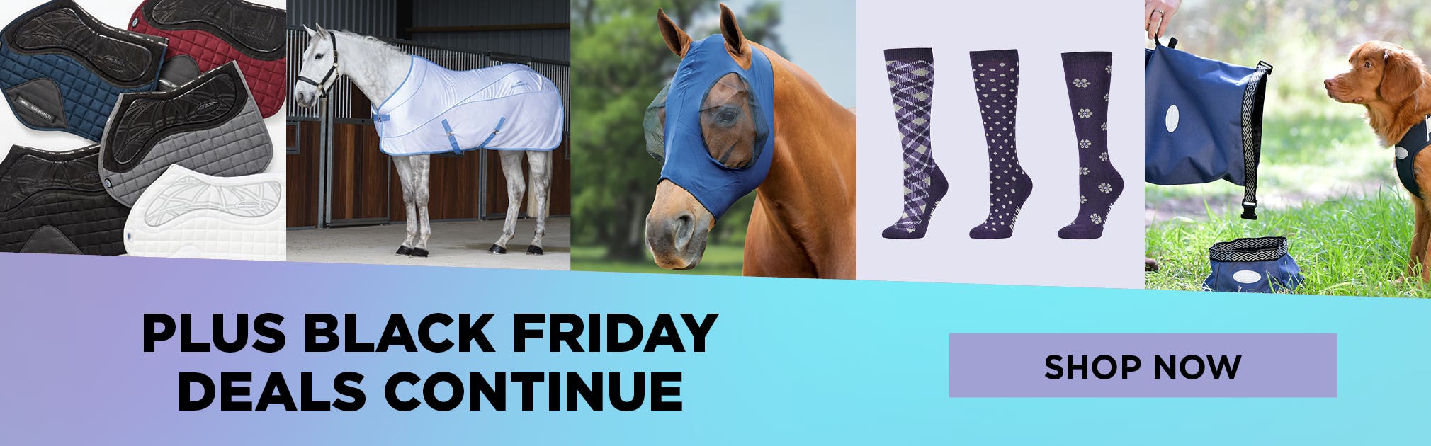 Black Friday Specials