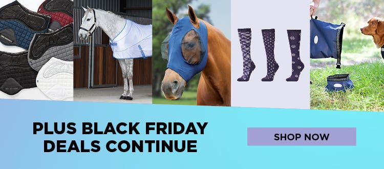 Black Friday Specials