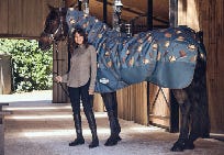 Autumn Winter Rugs