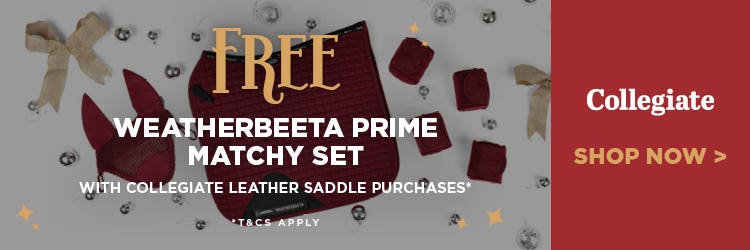Saddles & Saddlery