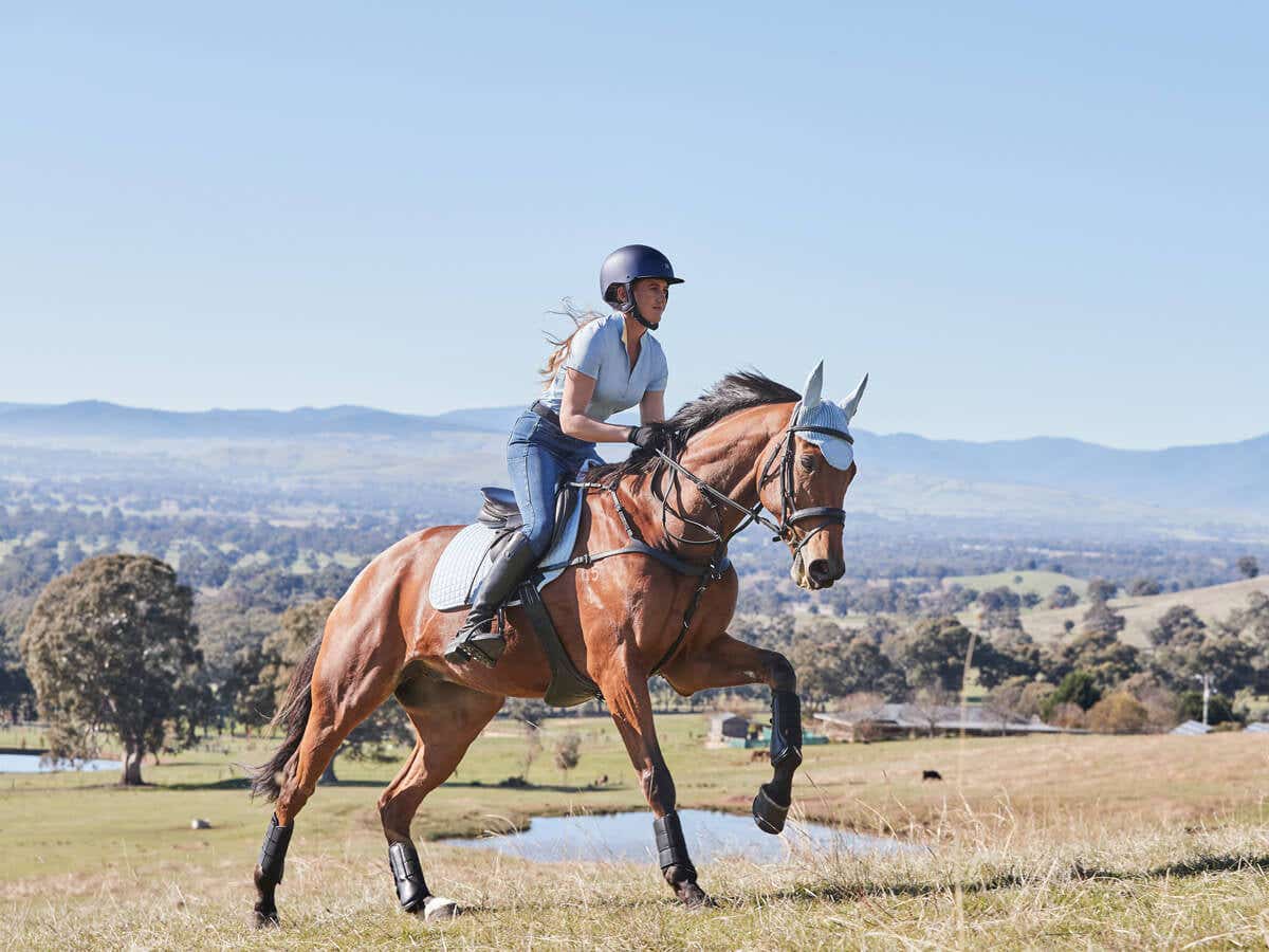 Sophia Hill cantering her horse up a hill wearing Dublin Clothing